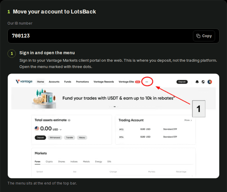 The LotsBack transfer screen: our IB number with a Copy button above the numbered steps